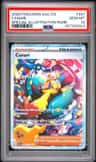 Canari