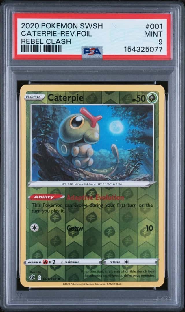 Caterpie