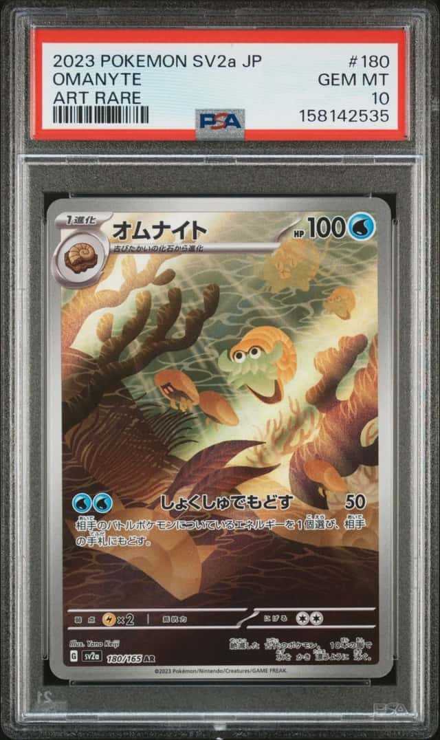Omanyte