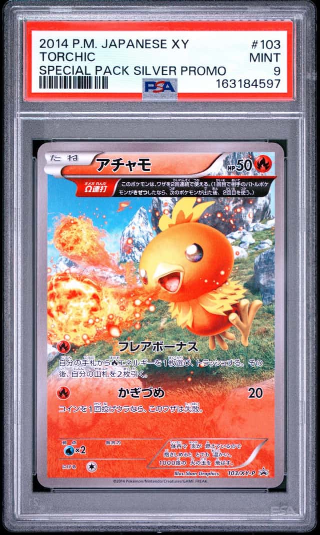 Torchic