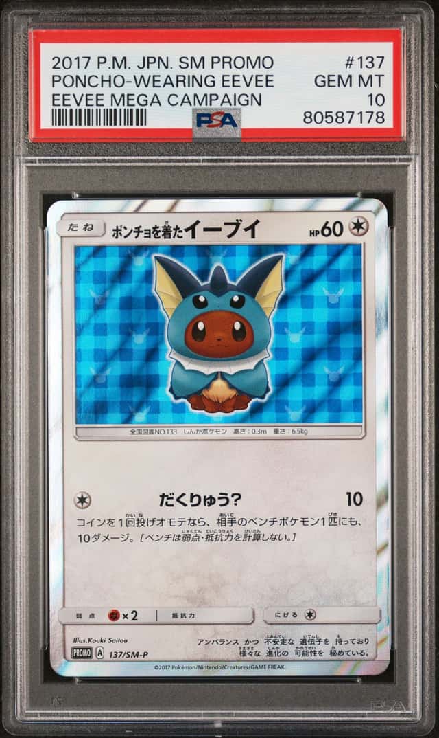 Poncho-wearing Eevee