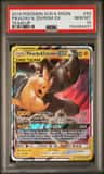 Pikachu & Zekrom Gx