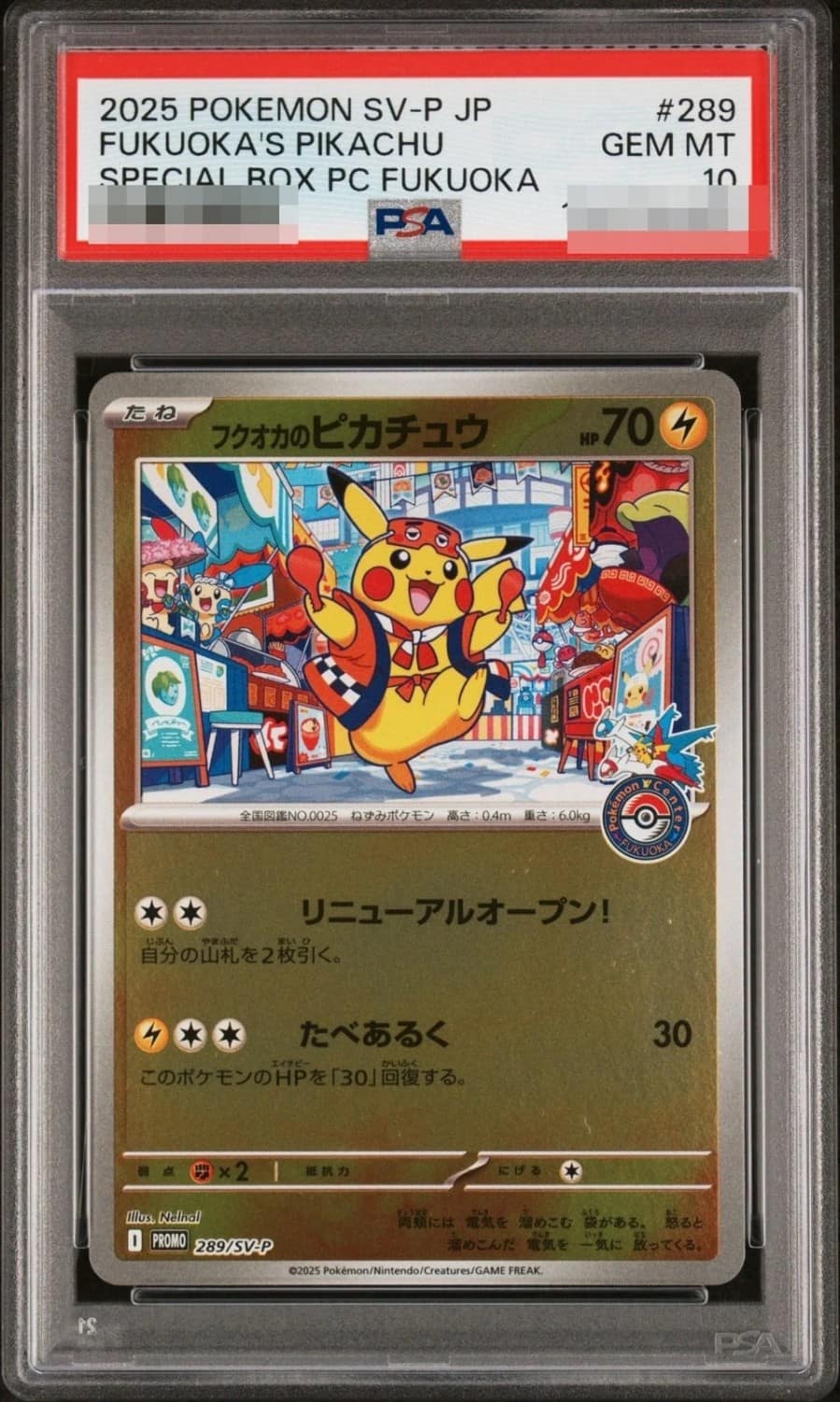 Fukuoka'S Pikachu