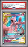 Mewtwo & Mew Gx