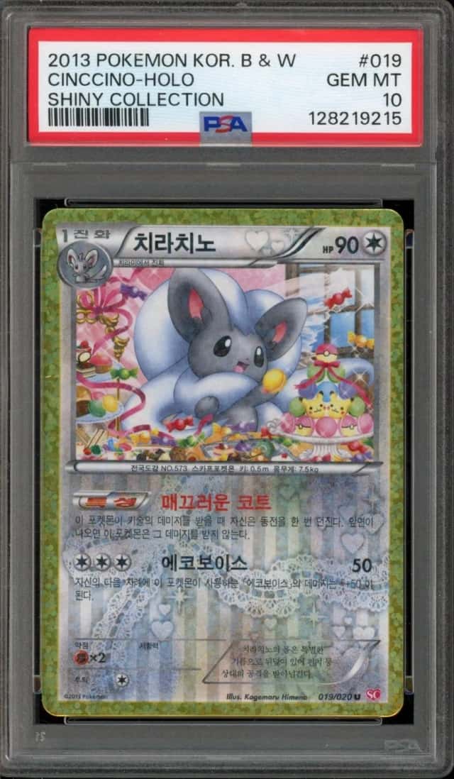 Cinccino