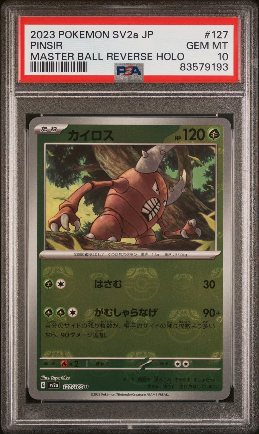 Pinsir