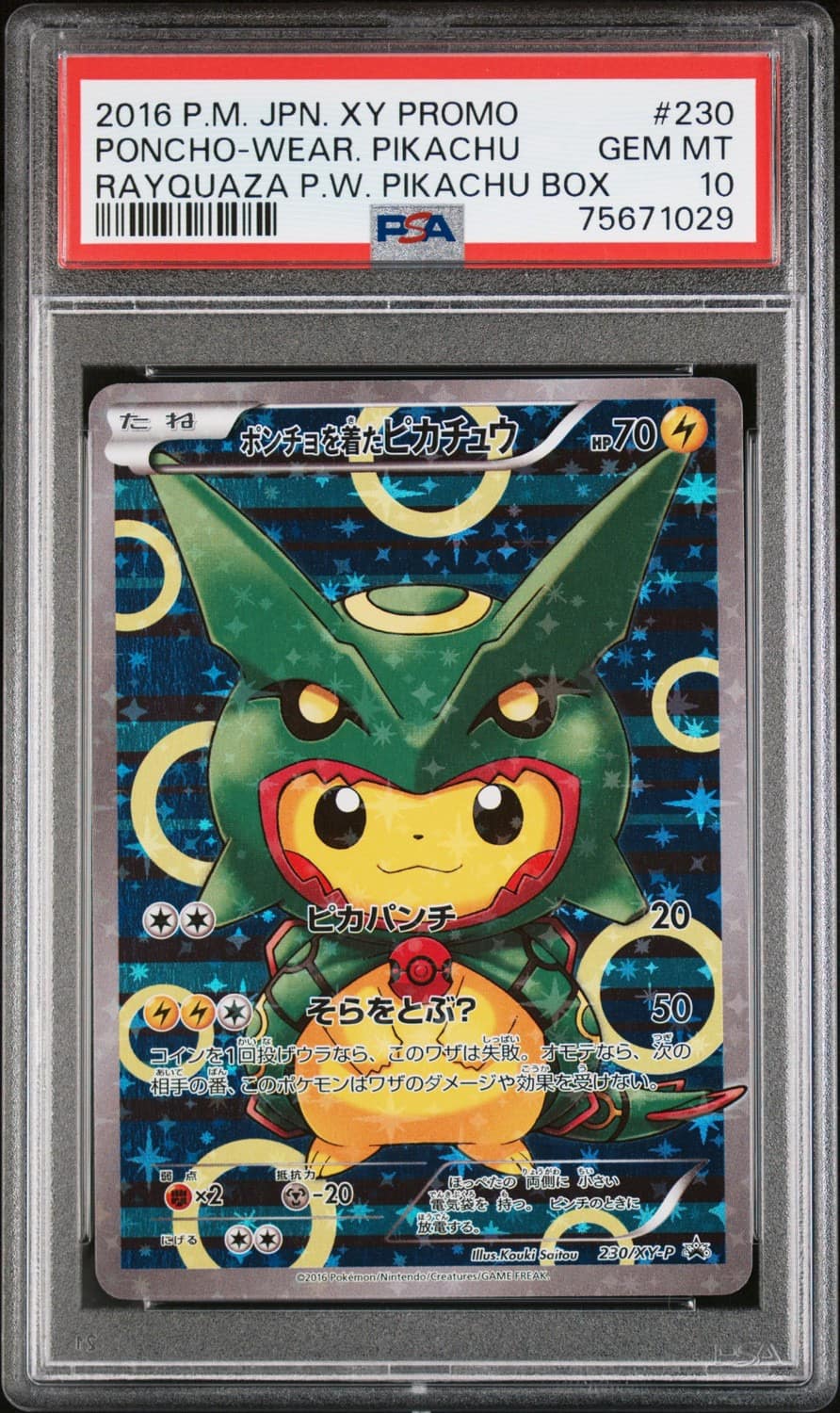 Poncho-Wearing Pikachu