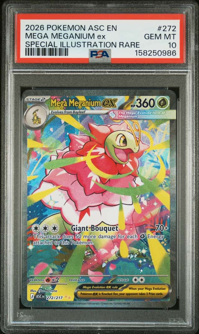 MEGA MEGANIUM ex