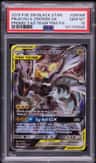 Pikachu & Zekrom Gx