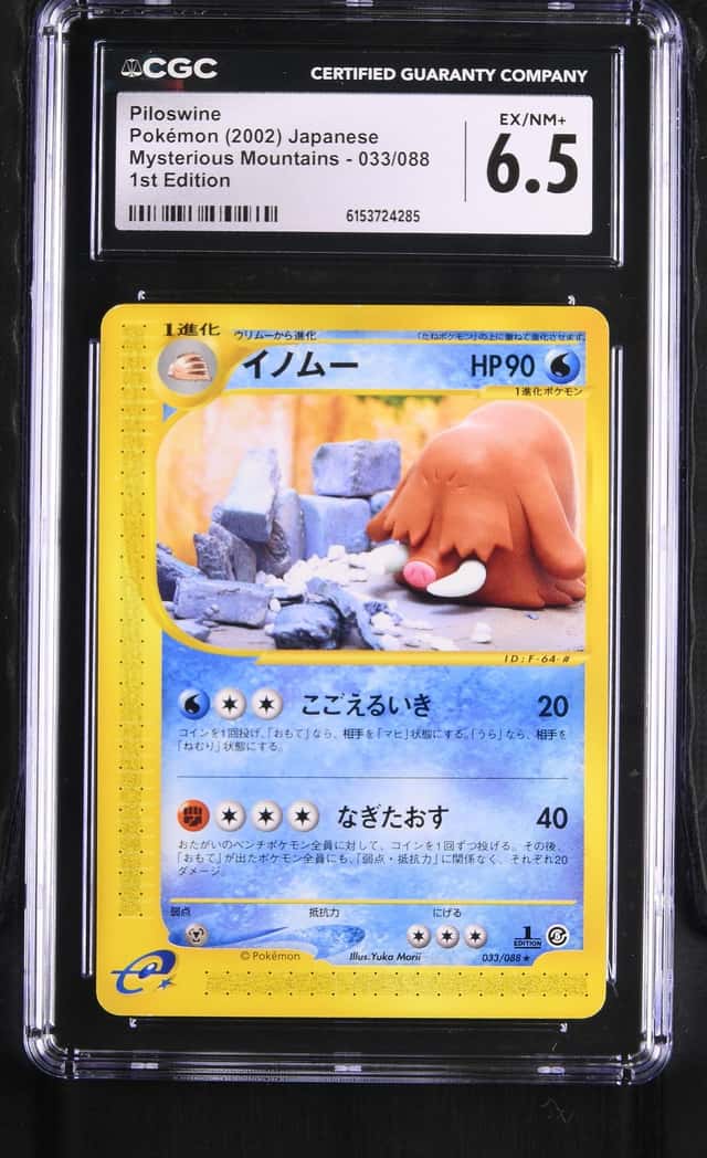 Piloswine