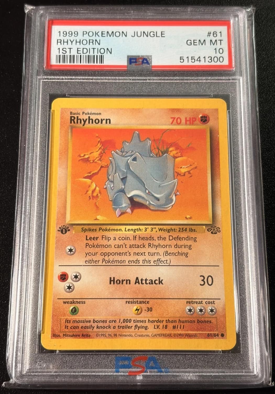 Rhyhorn