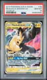 Pikachu & Zekrom Gx