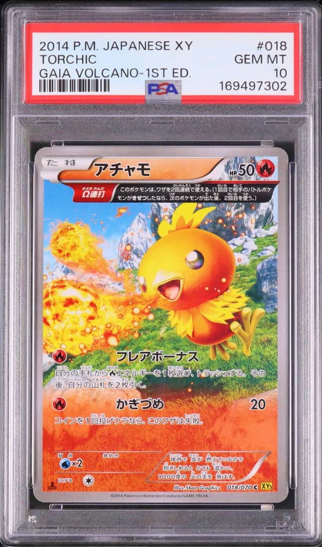 Torchic