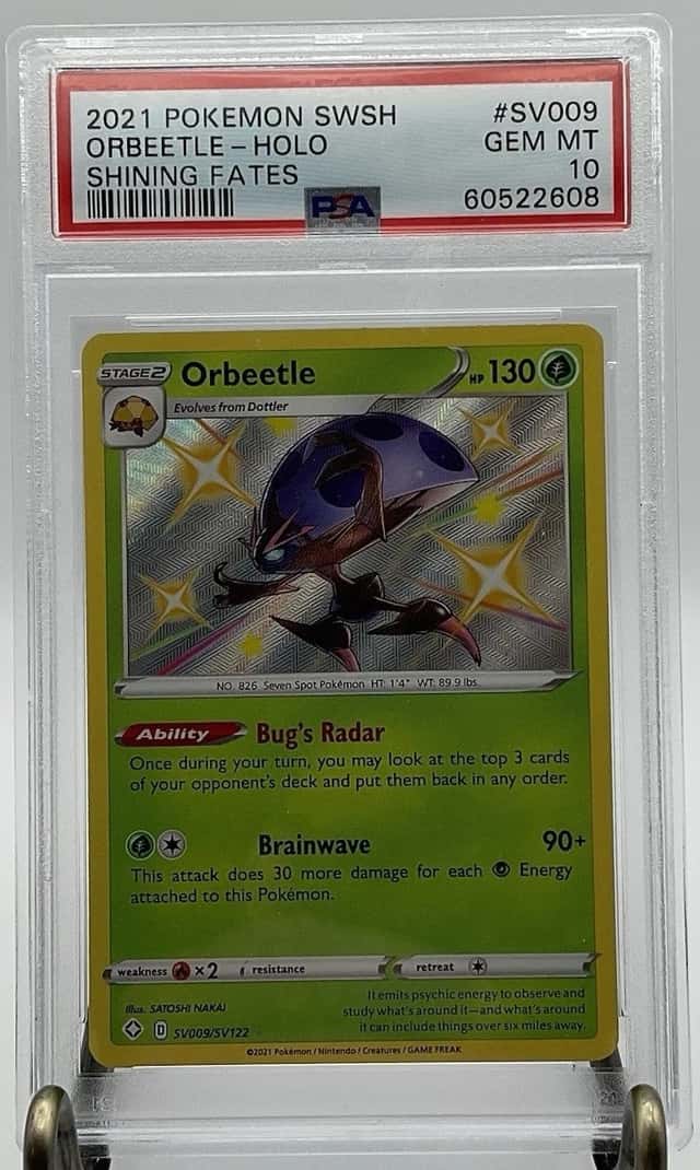 Orbeetle