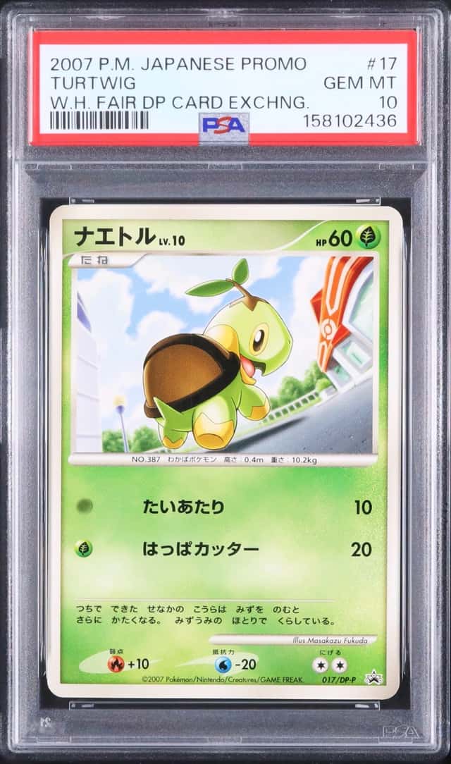Turtwig