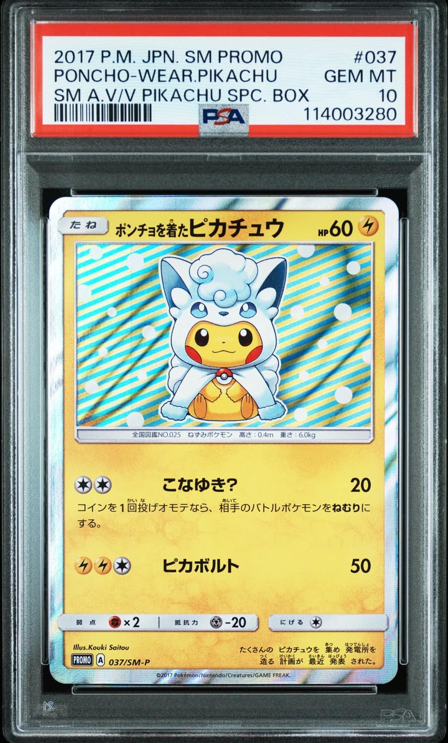 Poncho-Wearing Pikachu