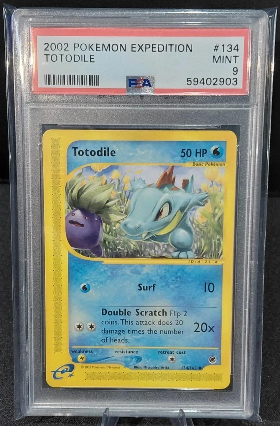 Totodile