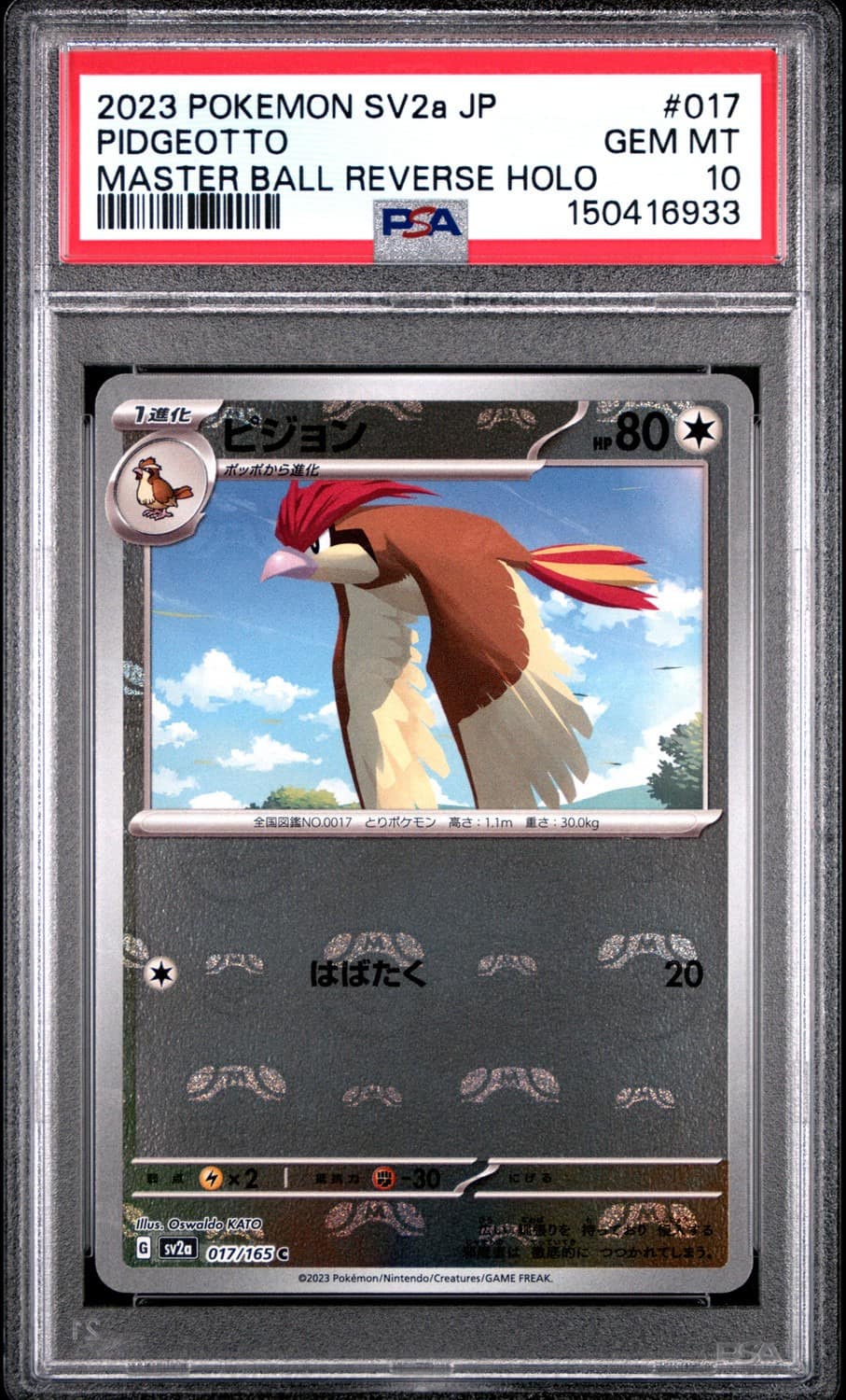 Pidgeotto