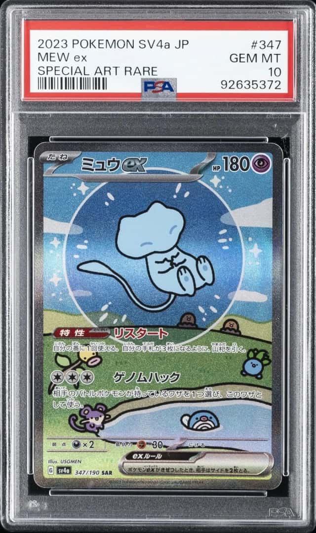 MEW ex