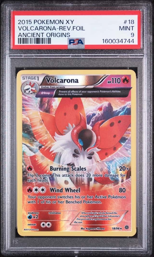 VOLCARONA