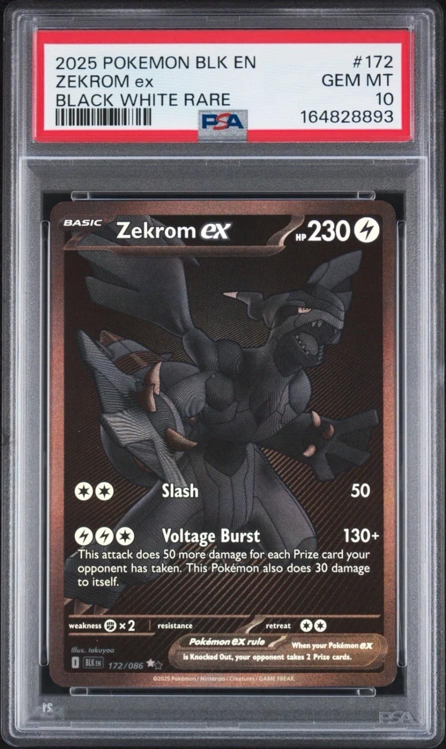 Zekrom Ex