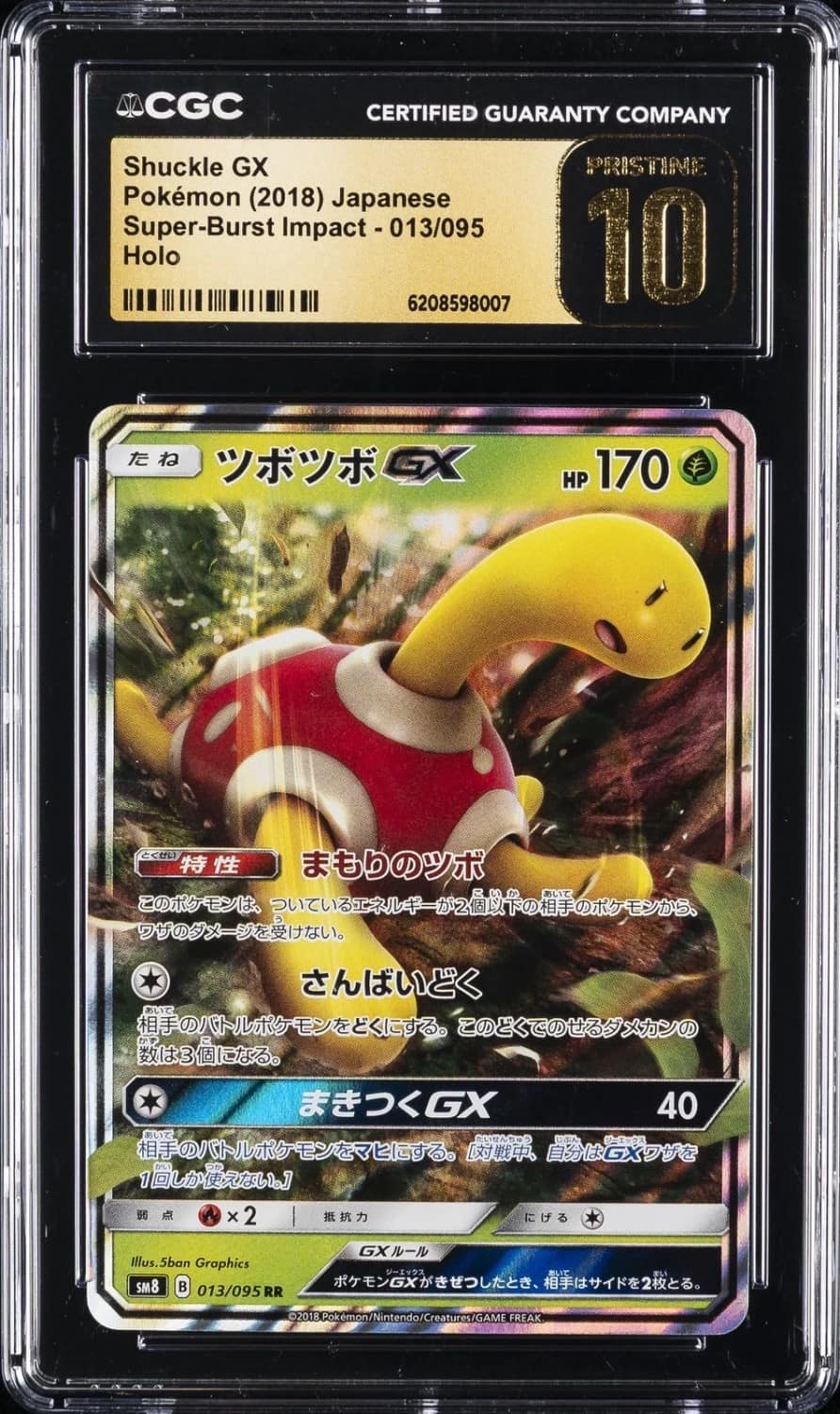 Shuckle Gx