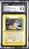 Raikou