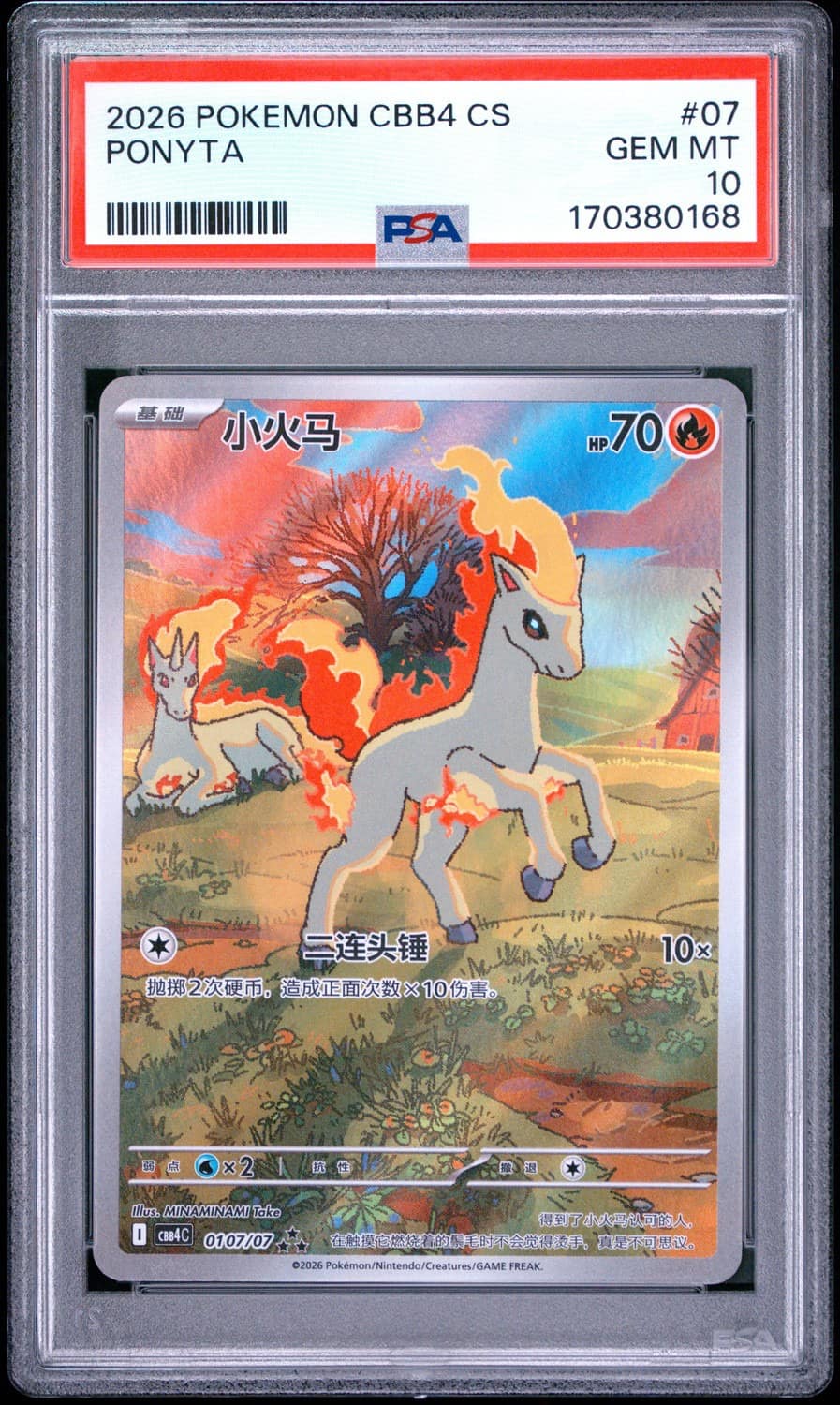 Ponyta