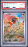 Ponyta