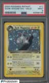 Dark Magneton