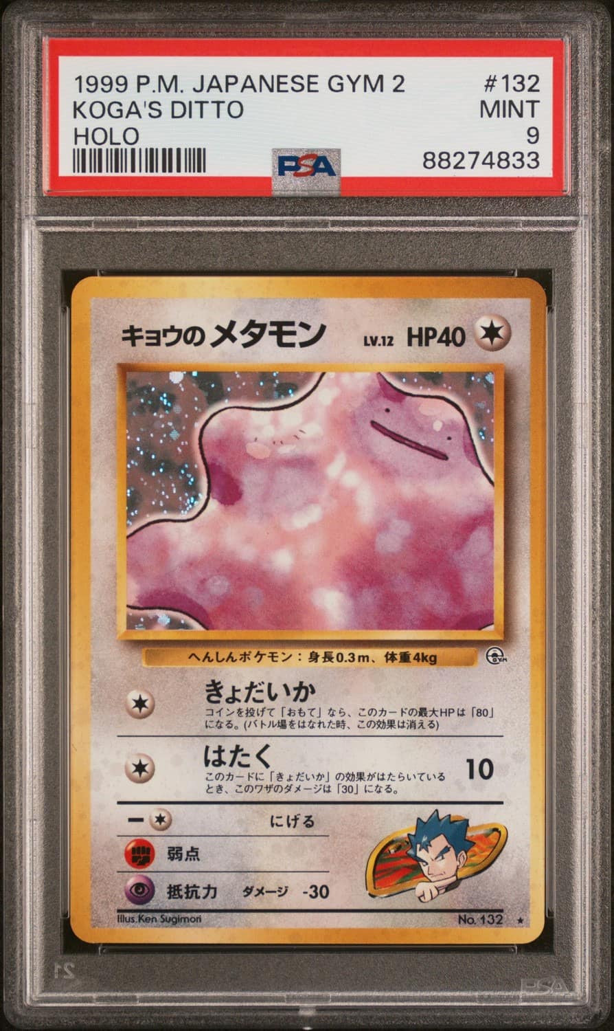 Koga'S Ditto