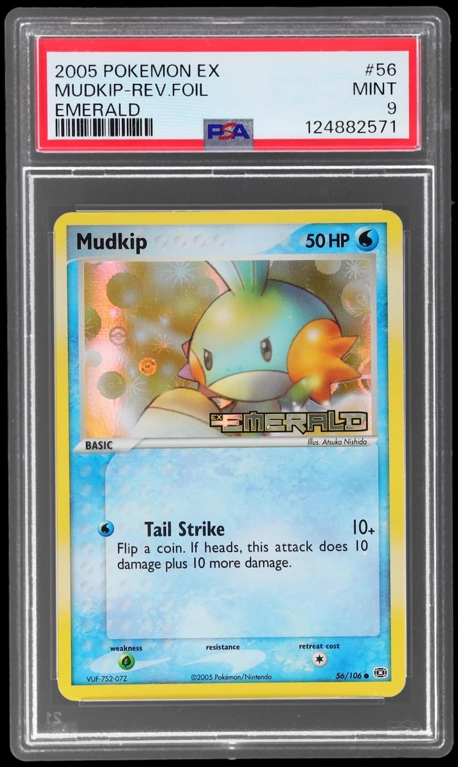 Mudkip