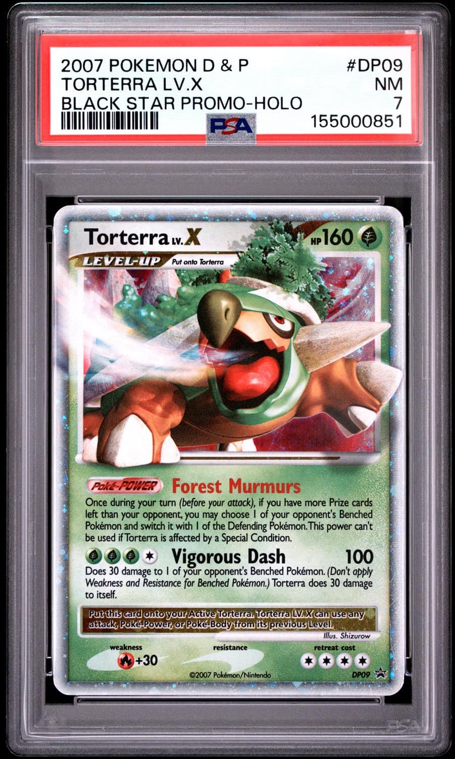 Torterra Lv X
