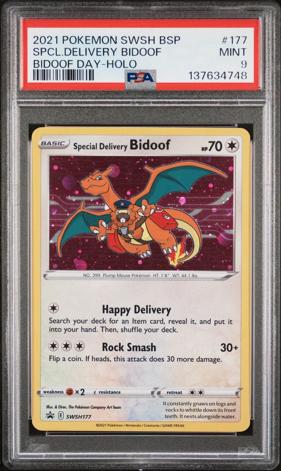 Special Delivery Bidoof