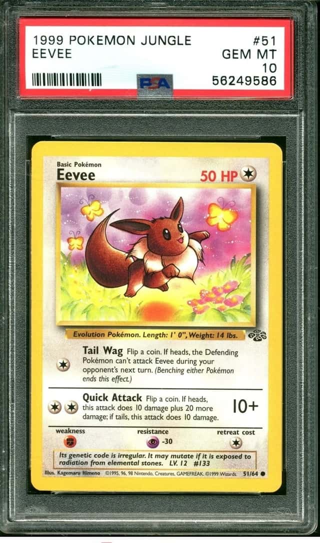 Eevee