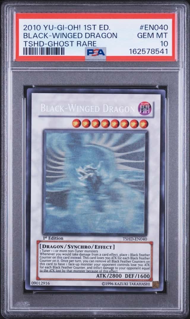 Black-Winged Dragon