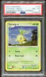 Turtwig