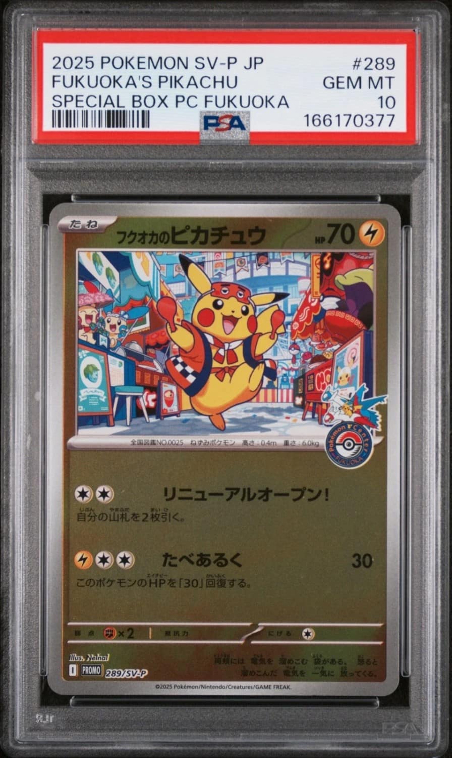 Fukuoka'S Pikachu