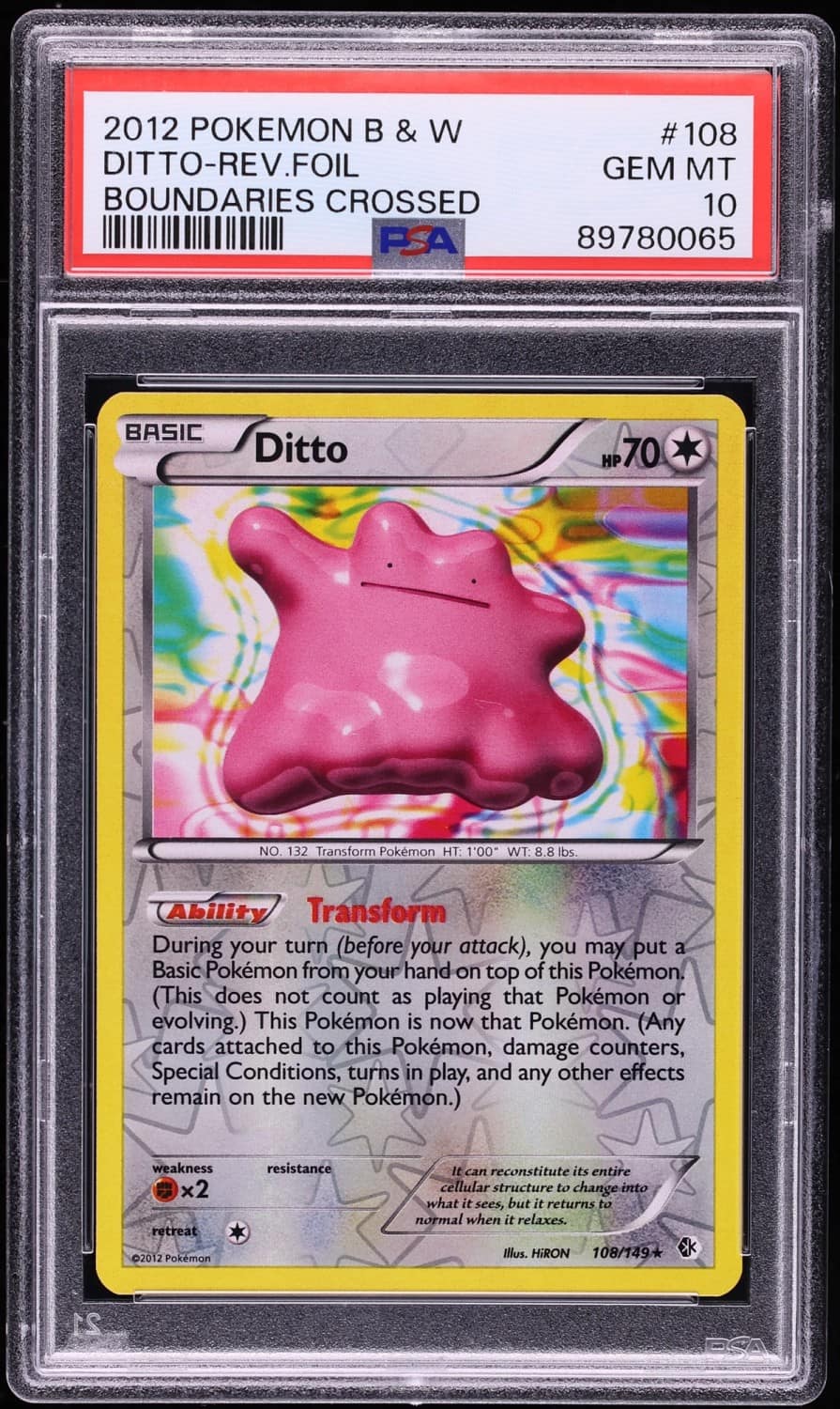 Ditto