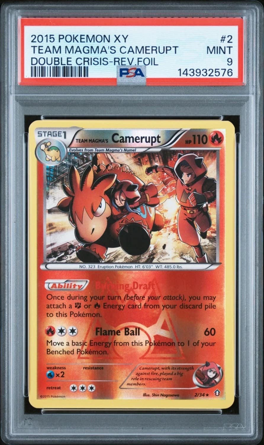 Team Magma'S Camerupt