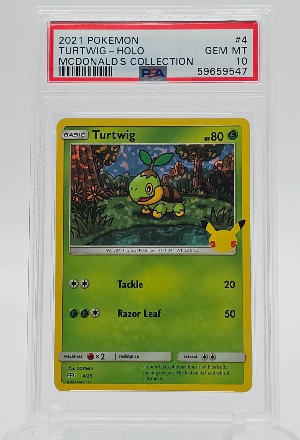 Turtwig
