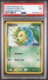 Chikorita