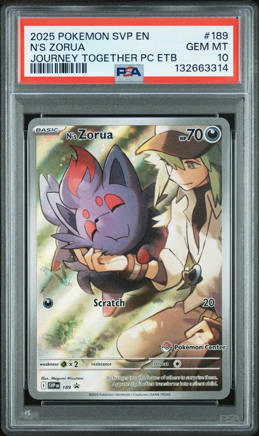 N'S Zorua