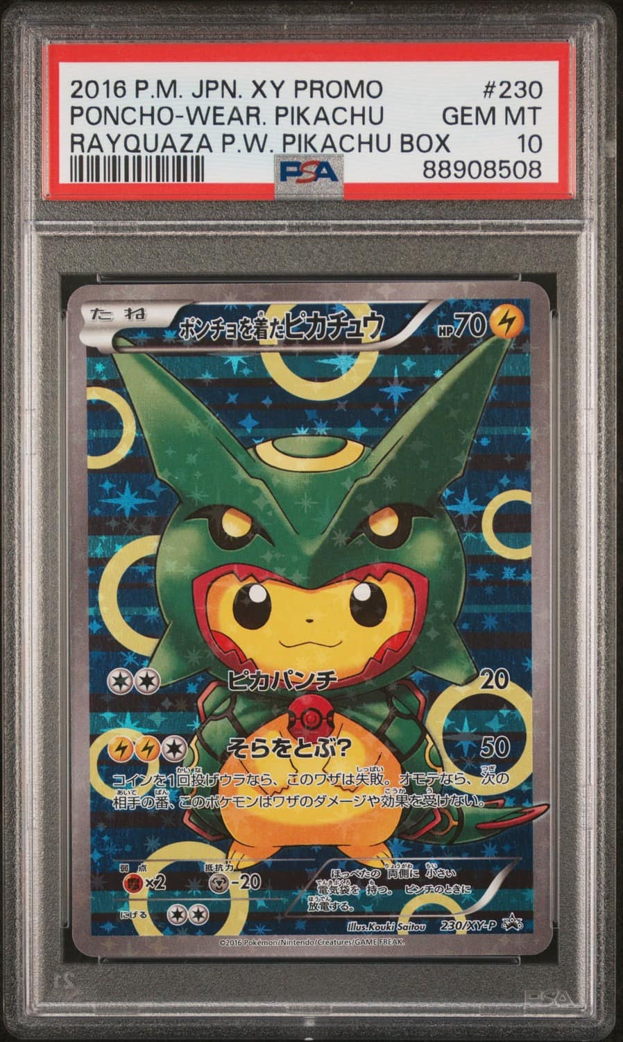 Poncho-Wearing Pikachu