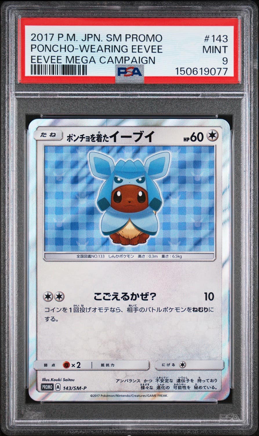 Poncho-Wearing Eevee