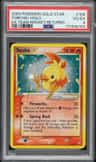Torchic