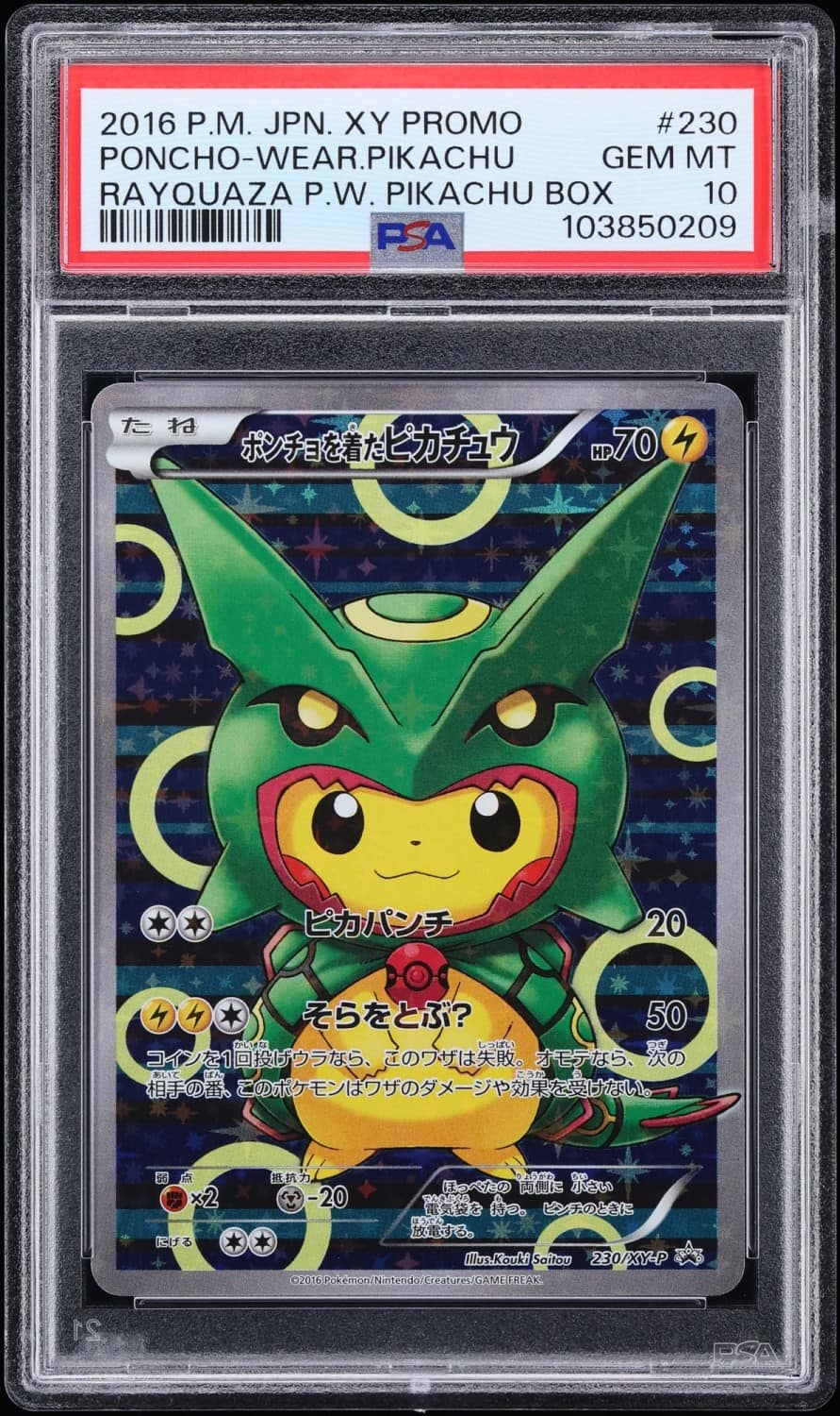 Poncho-Wearing Pikachu