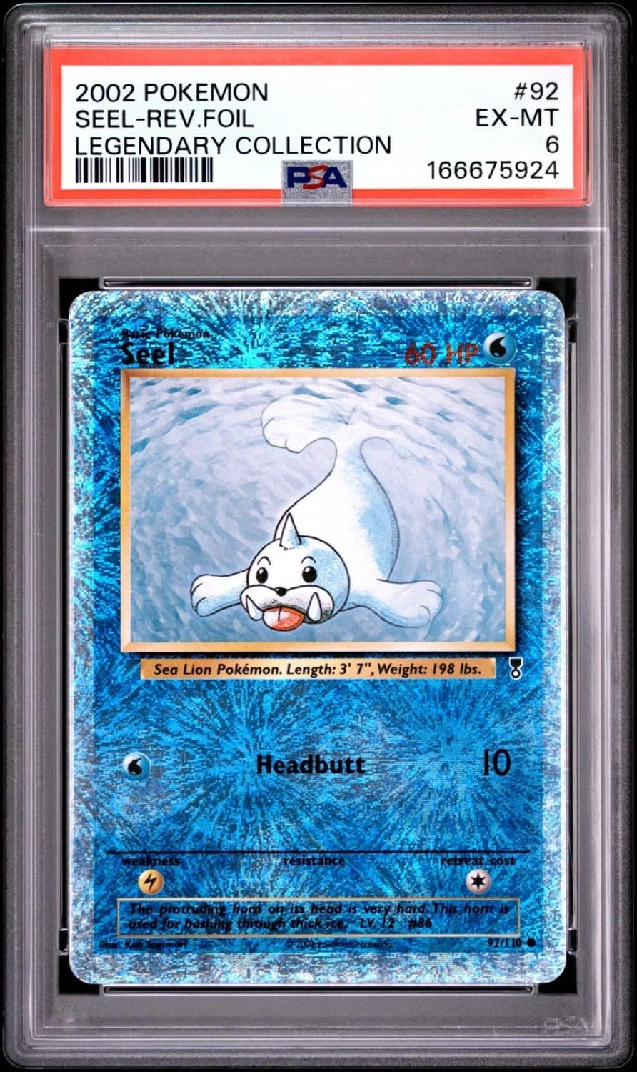 Seel