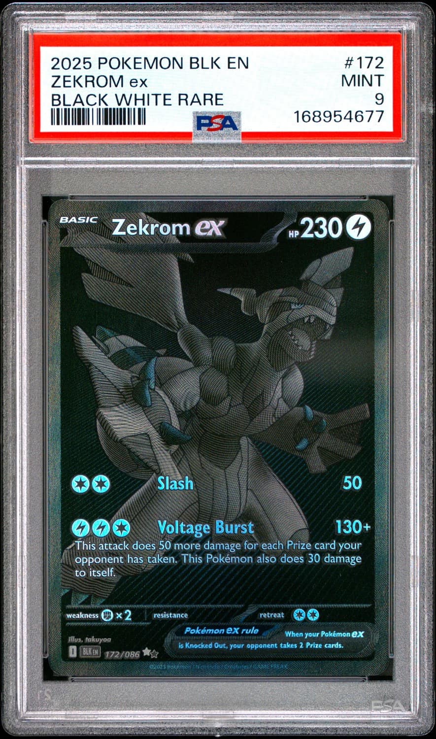 Zekrom Ex