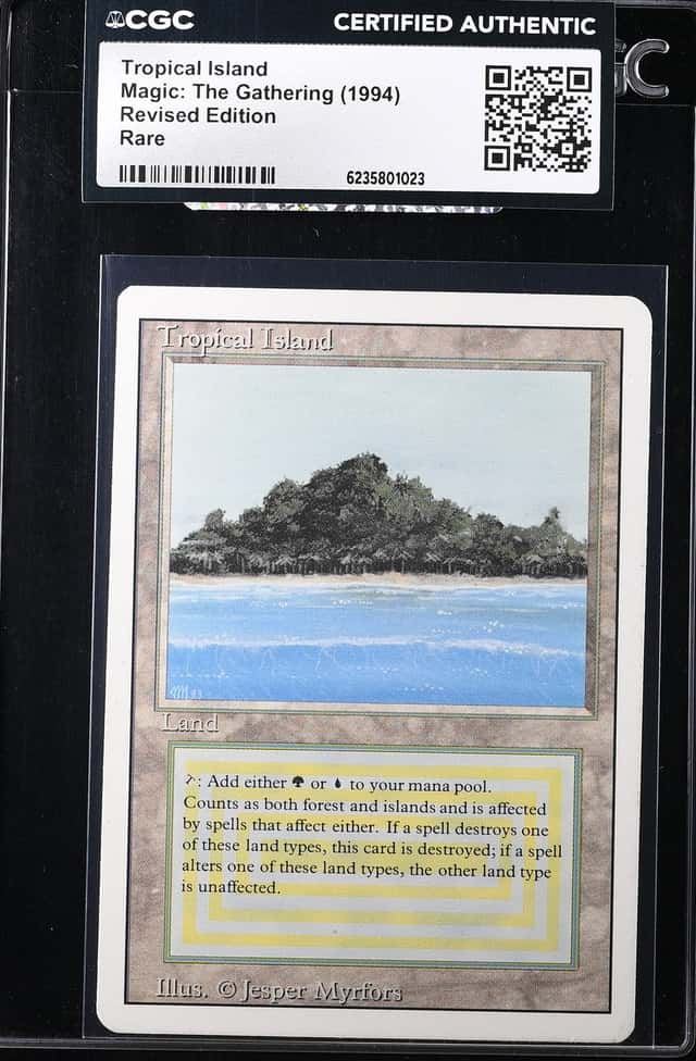 Tropical Island